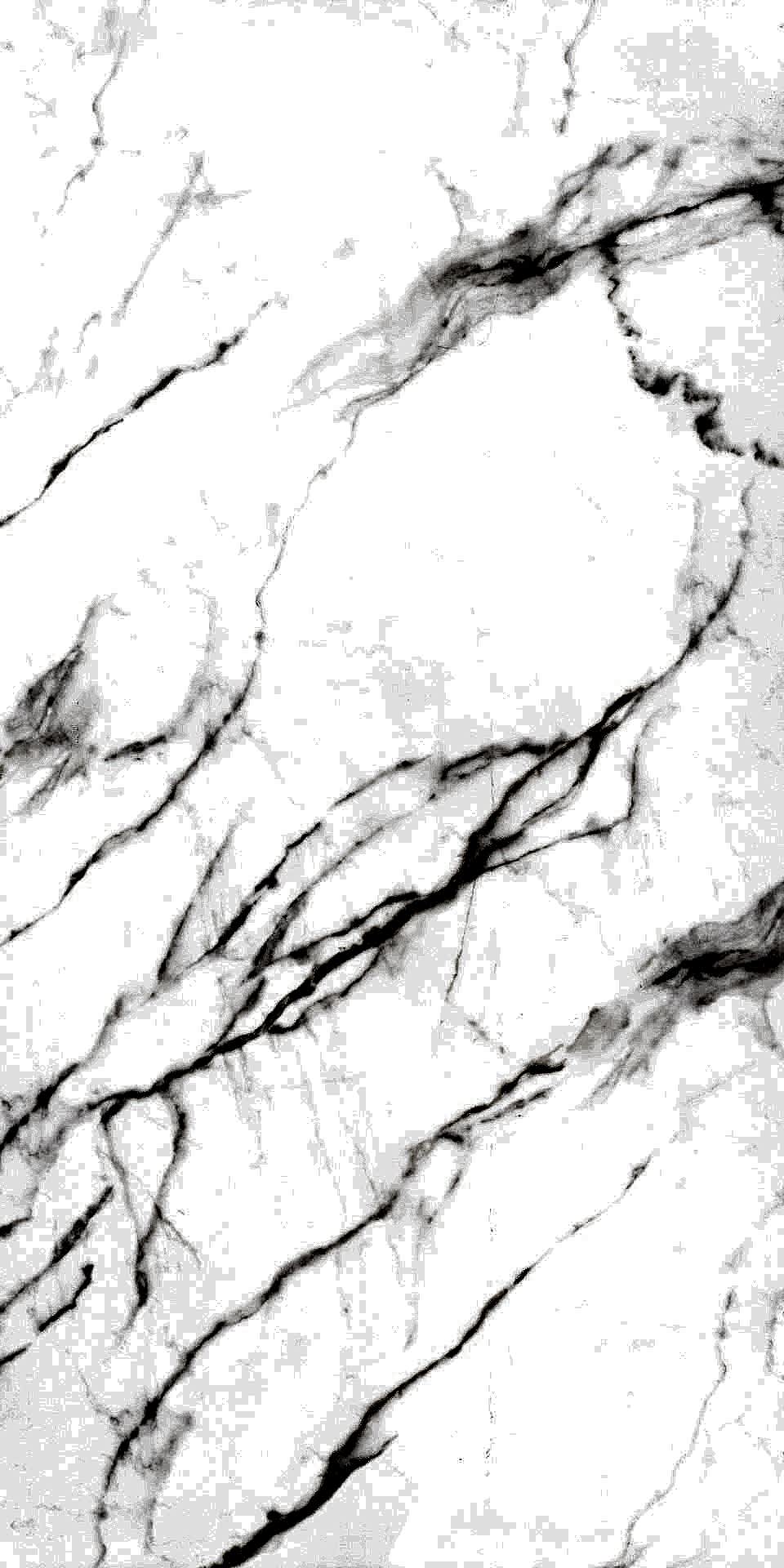 calacatta-derma