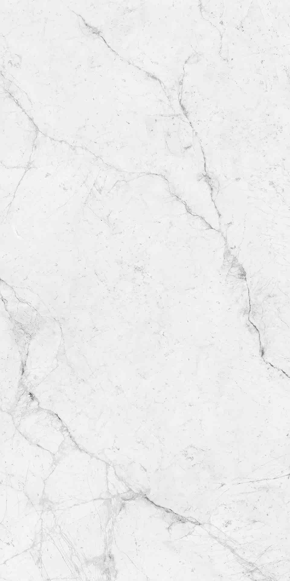 moon-grey