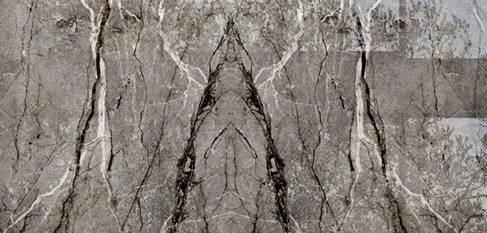 Maxton Silver Root