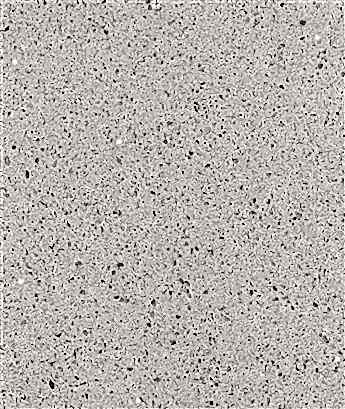 Coante Starlet