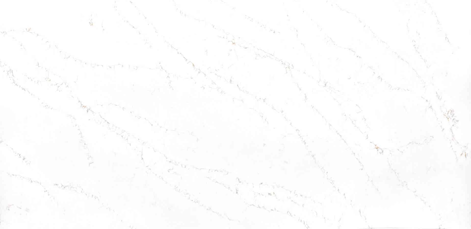 Belenco Pantheon