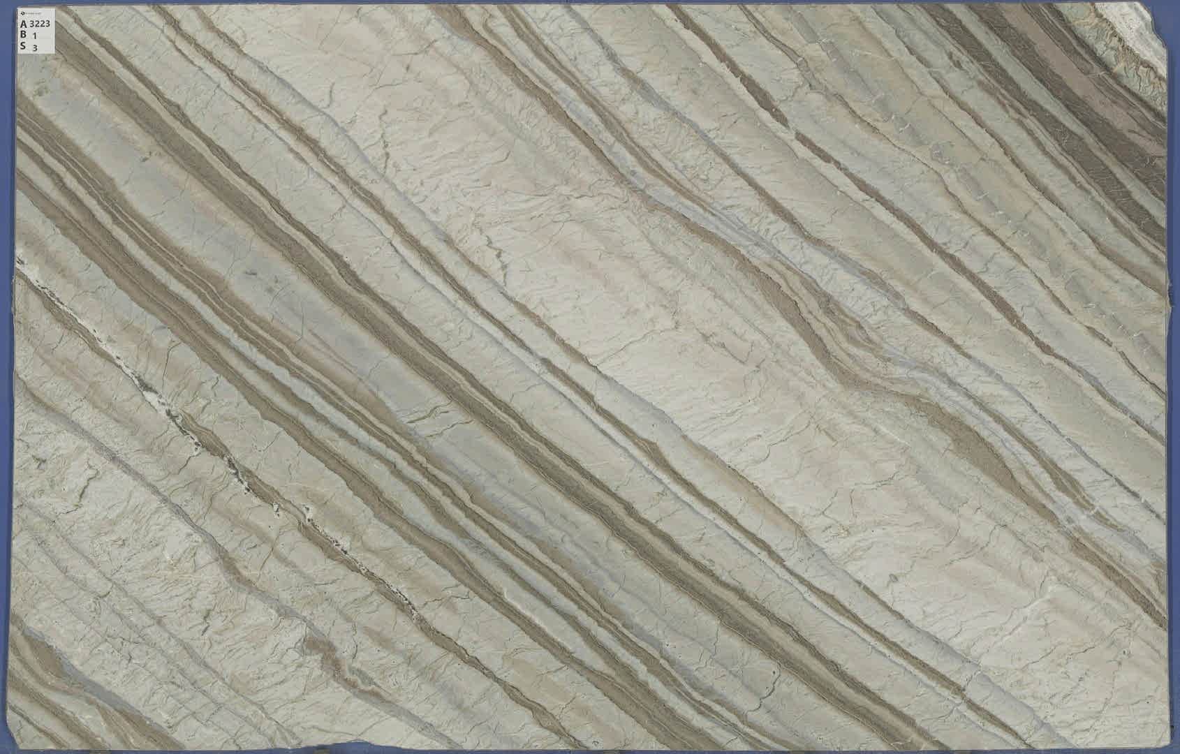corteccia