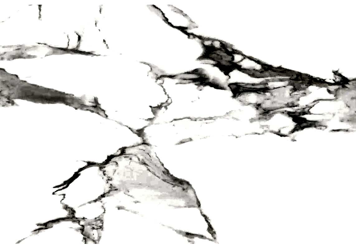 statuario-elite