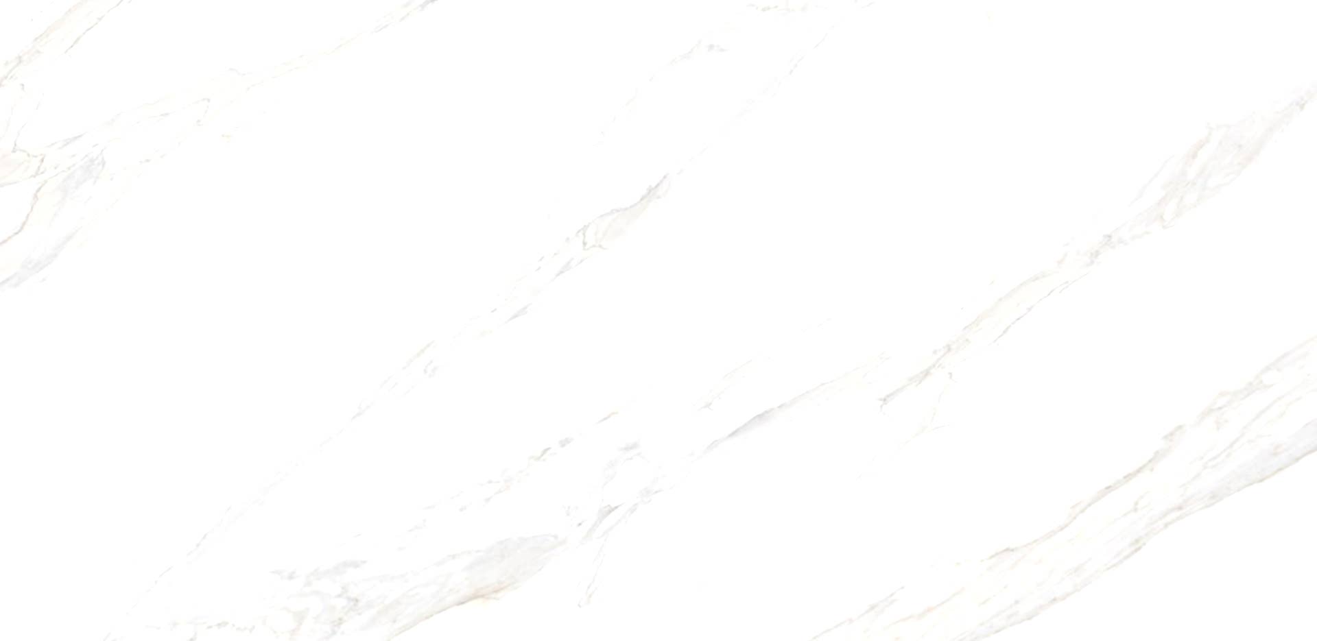 calacatta-classic