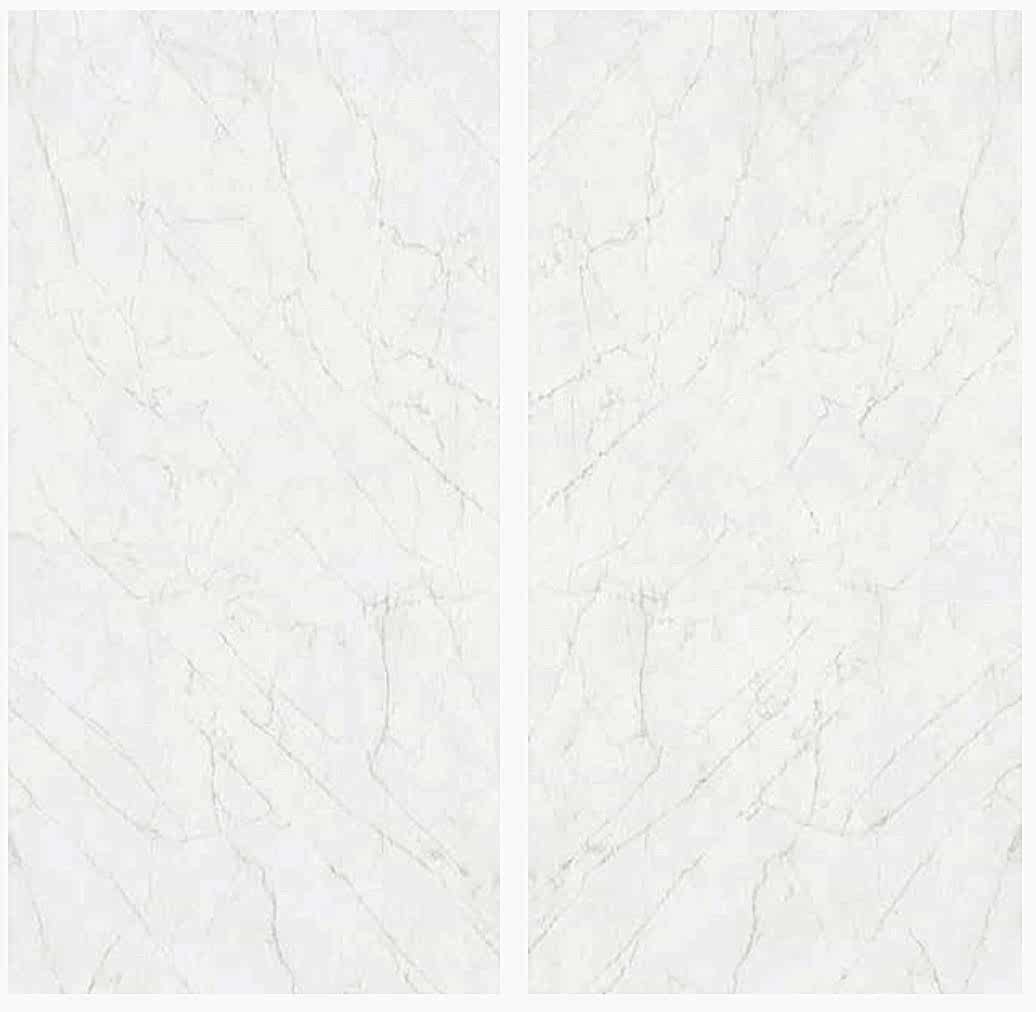 ariel-bianco